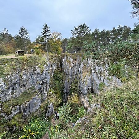 Les Gabelous - Micro-Gites - Viroinval Dourbes Exterior foto